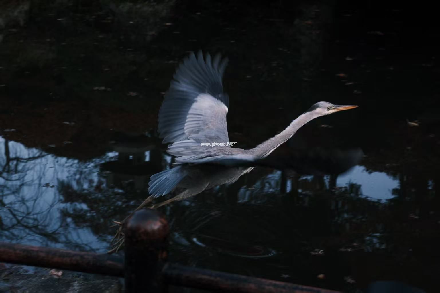 攝影構(gòu)圖核心：視覺權(quán)重的動態(tài)平衡